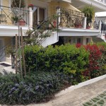 Μικτός Φράχτης