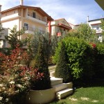 Τάξοι Πυραμίδα και μικτός φράχτης με Φωτίνια,Βιβούρνο λούσιντομ ,Ελαίαγνος ,Τσιντόνια ,Μαόνια ,Ναντίνα