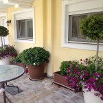 Γλάστρες με Μπούξους μπάλα, Δάφνες Απόλλωνος ,Διμορφοθήκες και στο κέντρο μια Γαρδένια compacta!!!