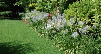 Συντήρηση κήπου στην Κηφισιά