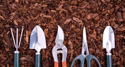 Συντήρηση Έργων Πρασίνου